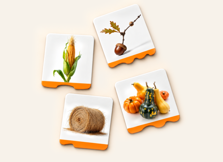 WittySprout Autumn Picture Magnets